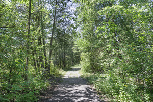<strong>Picture of Nature Trail</strong>