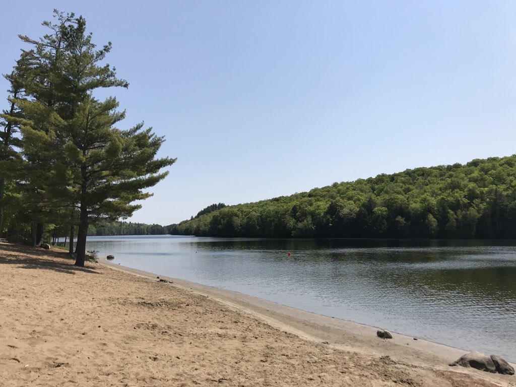 Header Image - burnstown-beach-1749581533.jpg